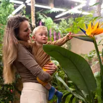 Pillangók birodalma! – Családi belépő a Papilonia Lepkevilágba kosár