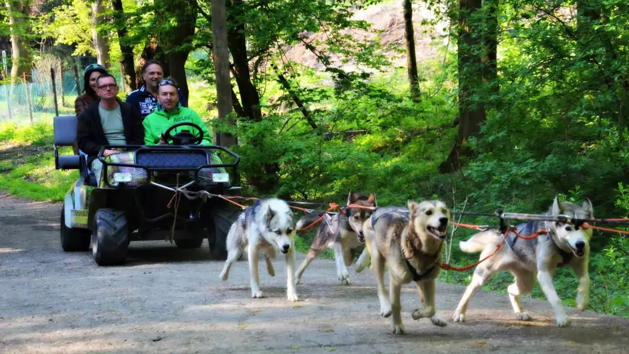 Husky kutyafogat extra túra - Gyerekeknek (6 év alatt) fő kép