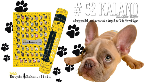 BLÖKI-A kutyás bakancslista kdevenceddel-akár csak a poszter 2