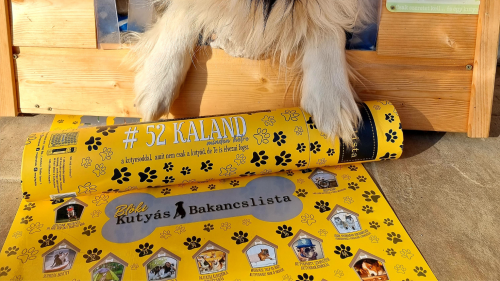 BLÖKI-A kutyás bakancslista kdevenceddel-akár csak a poszter 3