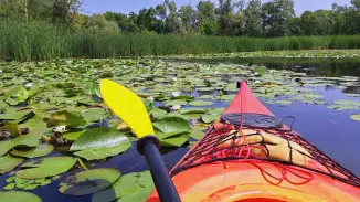 Természet, élmények, szabadság! – Tisza-tavi kenus vízitúra (Gyerekeknek)
